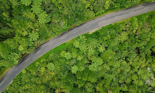 Videographer in Sacramento -0